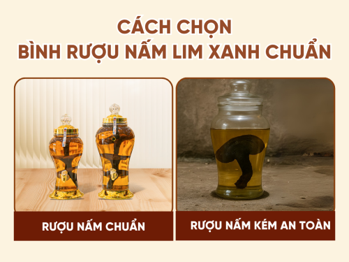 Bình rượu nấm Lim Xanh đẹp - giá hợp lý: Cách chọn đúng, dùng chuẩn